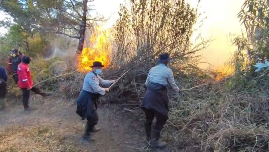 Polres Lumajang Kunci Pergerakan Api di Ranupani Antisipasi Karhutla TNBTS Meluas